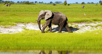 Shambala Private Game Reserve